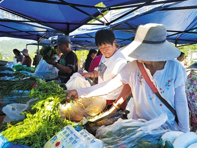 8月18日，门头沟区雁翅镇付家台村，村民正在挑选由“蔬菜直通车”送来的新鲜蔬菜。新京报记者 叶红梅 摄 
